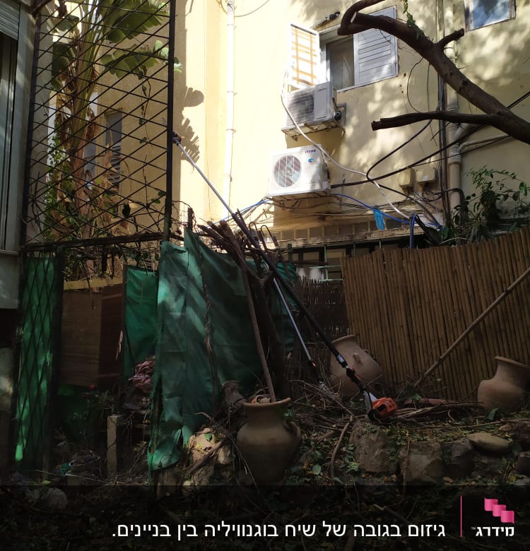 כלי גיזום כתום על הקרקע בין ענפים וגזם